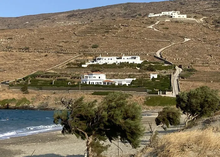 Galini House Private In Andros Willa