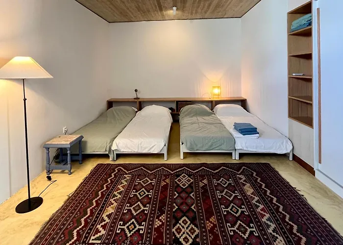 Galini House Private In Andros Willa *