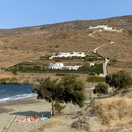 Galini House Private In Andros Villa