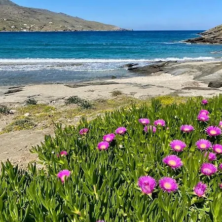 Korthi C * Ormos (Andros)