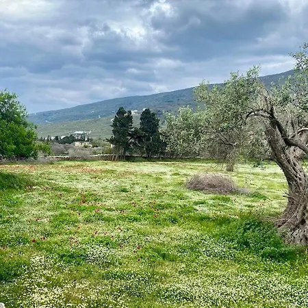 Villa Korthi C