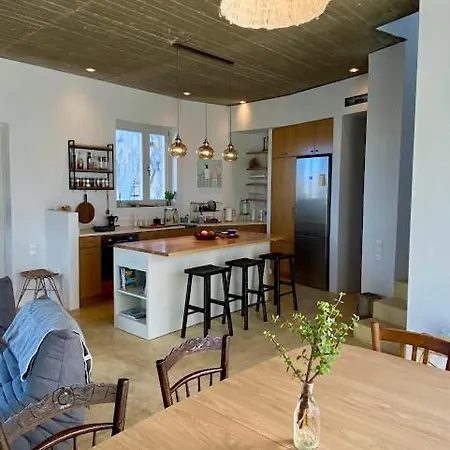 Villa Galini House Private In Andros *